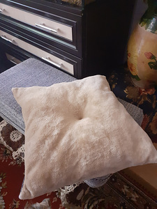 Koerale maja müümine (2 foto / 3)