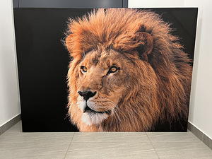 Lõuend AFRICA 140x100cm (1 foto / 1)