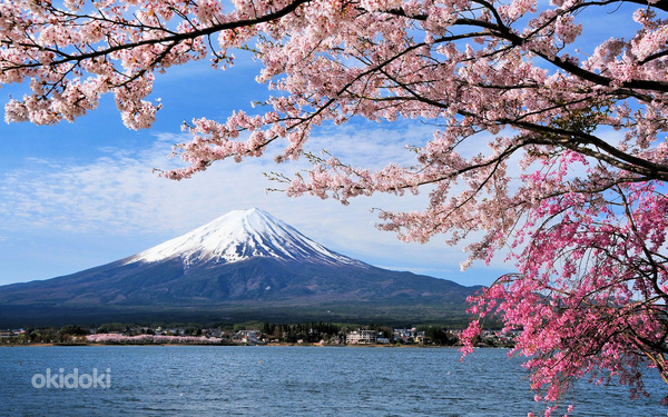 Картина бисером "Унесенные Призраками и Японская Гора" (фото #2)