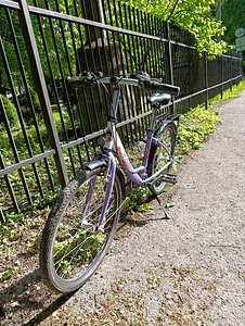 Naiste linnaratas 24" Shimano (2 foto / 5)