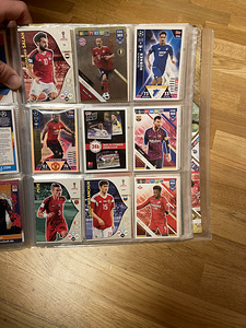 Jalgpallikaartide kollektsioon (7 foto / 10)