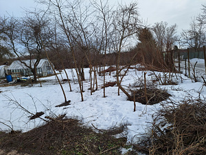 Müüa maatükk (5 foto / 5)