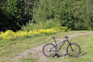 NS Eccentric EVO 27.5 CUSTOM (1 фото из 4)