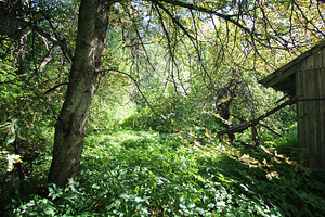 Polli tee 1, Halliste, Mulgi vald, Viljandimaa (7 foto / 10)