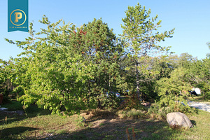 Mareka vkt 45, Laulasmaa, Lääne-Harju vald, Harjumaa (6 foto / 8)