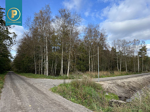 Taavi tee 1, Naage, Harku vald, Harjumaa (1 foto / 8)