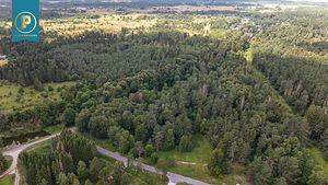 Taavi tee 1, Naage, Harku vald, Harjumaa (8 foto / 8)