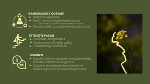 Tööpakkumine Müügiesindajale Haabersti Linnaosas (2 foto / 2)