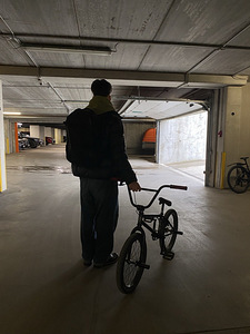 Велосипед BMX «WeThePeople» (5 фото из 6)