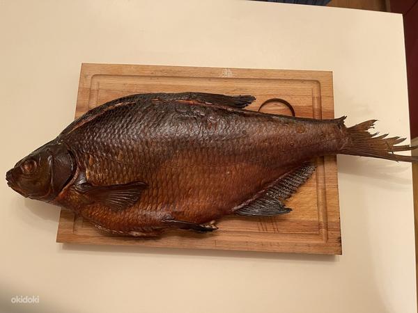Свежая и копченая рыба из Чудского озера (фото #2)