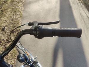 Excelsior Road Cruiser 28-дюймовый (6 фото из 10)