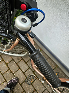 Jalgrattas Minerva City, rehvid 28, Naised (10 foto / 10)
