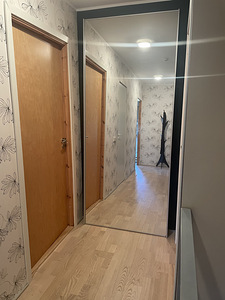 Дверь шкафа, зеркало 215 х 100 м (1 фото из 3)