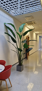 Shishi kunstpuu (1 foto / 1)