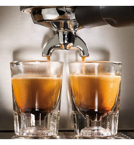 Kohvimasin Gaggia Classic RI9480 (4 foto / 4)