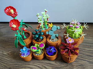 LEGO Botanical collection 10329 (2 foto / 2)