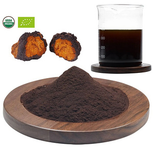 Seened MUSHEEZ ORGAANILISE CHAGA EKSTRAKTI PULBER 50 G (3 foto / 4)