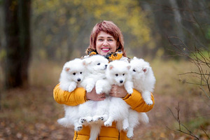 Kucēni (3 foto no 10)