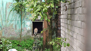 Tallinna ZOO ekskursioon (8 foto / 10)