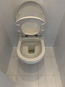 Gustavsberg WC + loputusnupp (3 foto / 6)
