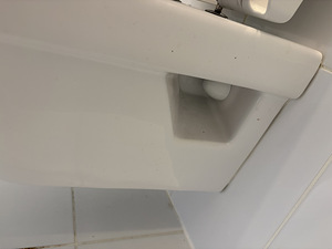 Gustavsberg WC + loputusnupp (4 foto / 6)
