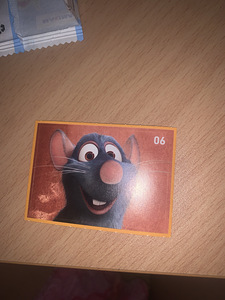Kleepsud