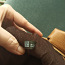 Michael Korsi kott (foto #5)