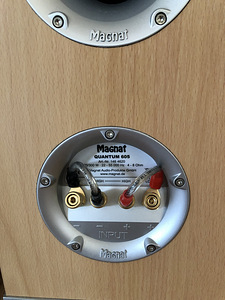 Kõlarid Magnat Quantum 605 (4 foto / 10)