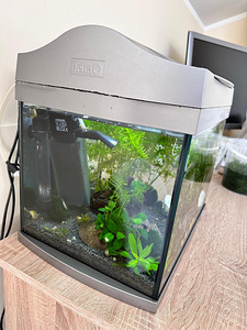 Tetra akvaarium Saksamaal 30 liitrit + kõik vajalik (3 foto / 3)