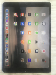 iPad pro 10.5 2017 256gb (1 фото из 4)