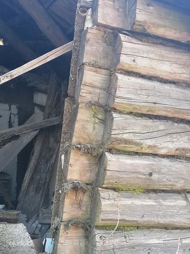 Старый бревенчатый дом на вывоз (фото #9)