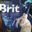 Briti kassipoegade toit (foto #1)