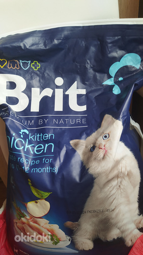Briti kassipoegade toit (foto #1)