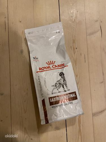 Müün koeratoitu Royal Canin Gastrointestinal (foto #1)
