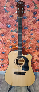 Kitarr, elektroakustiline Washburn (1 foto / 10)