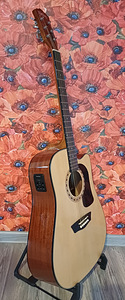 Kitarr, elektroakustiline Washburn (2 foto / 10)