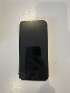 iPhone 12 Pro Max (3 foto / 9)