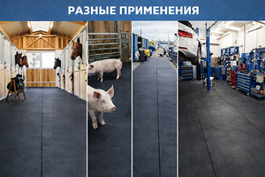 Konveierilint / Transportöörilint (7 foto / 10)
