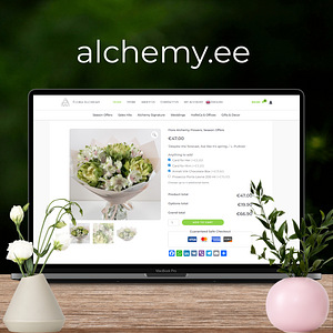 Kaasaegsed veebilahendused (veebileht, AI-chatbot, SEO) (3 foto / 10)
