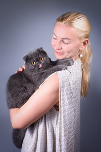 Šoti fold kass Bonya Scottish fold (6 foto / 10)