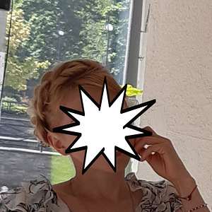 Barrettes soengud (7 foto / 7)
