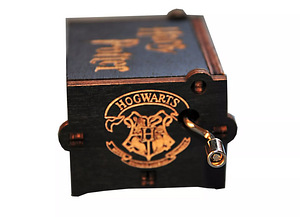 Muusikakast Harry Potter (4 foto / 5)
