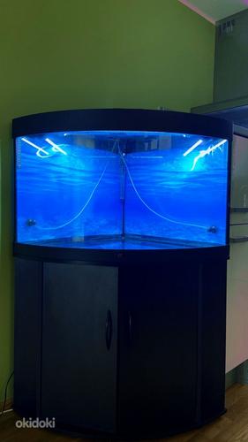 JUWEL 190л угловой аквариум с тумбой (фото #1)