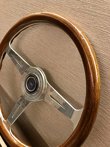 Rool sport Nardi puu (10 foto / 10)