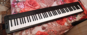 Digiklaver casio privia px 3100 (1 foto / 1)