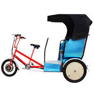Tesla-Velo Rickshaw-Velotaxi (1 foto / 3)