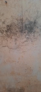 Teenuseid (2 foto / 6)