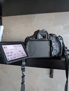 Canon EOS 600D+ EFS18-135mm (9 фото из 10)