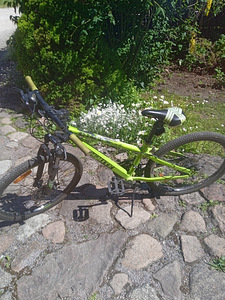 Jalgratas 24" (1 foto / 3)