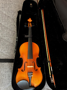 Viiul 4/4